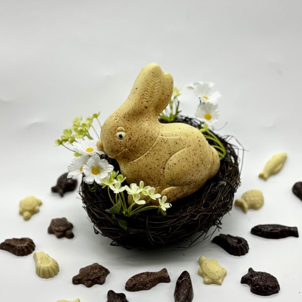 Pâques Lapin